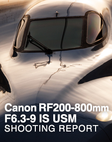 Canon RF200-800mm F6.3-9 IS USM  SHOOTING REPORT