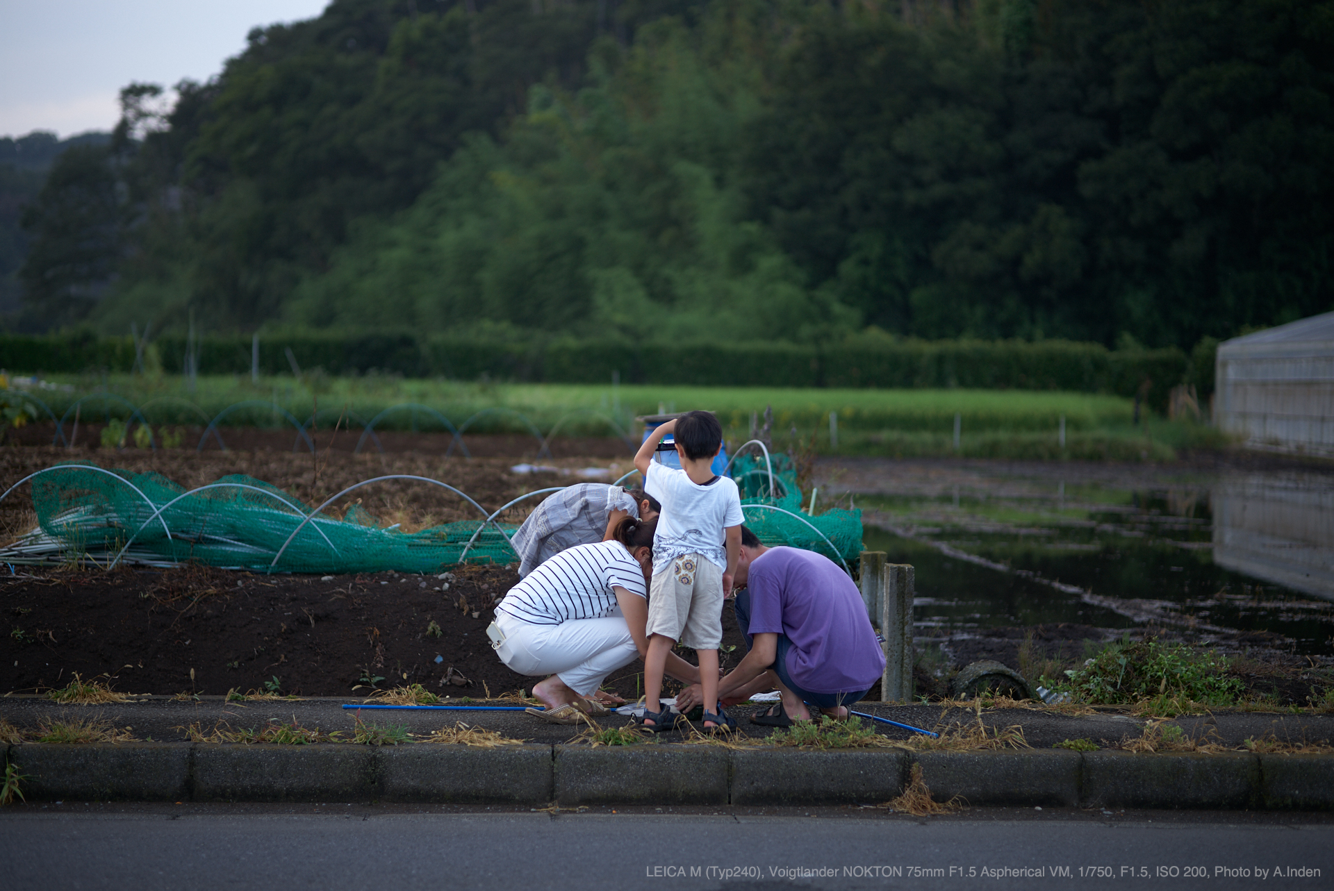 Voigtlander（フォクトレンダー） NOKTON 75mm F1.5 Aspcherical VM