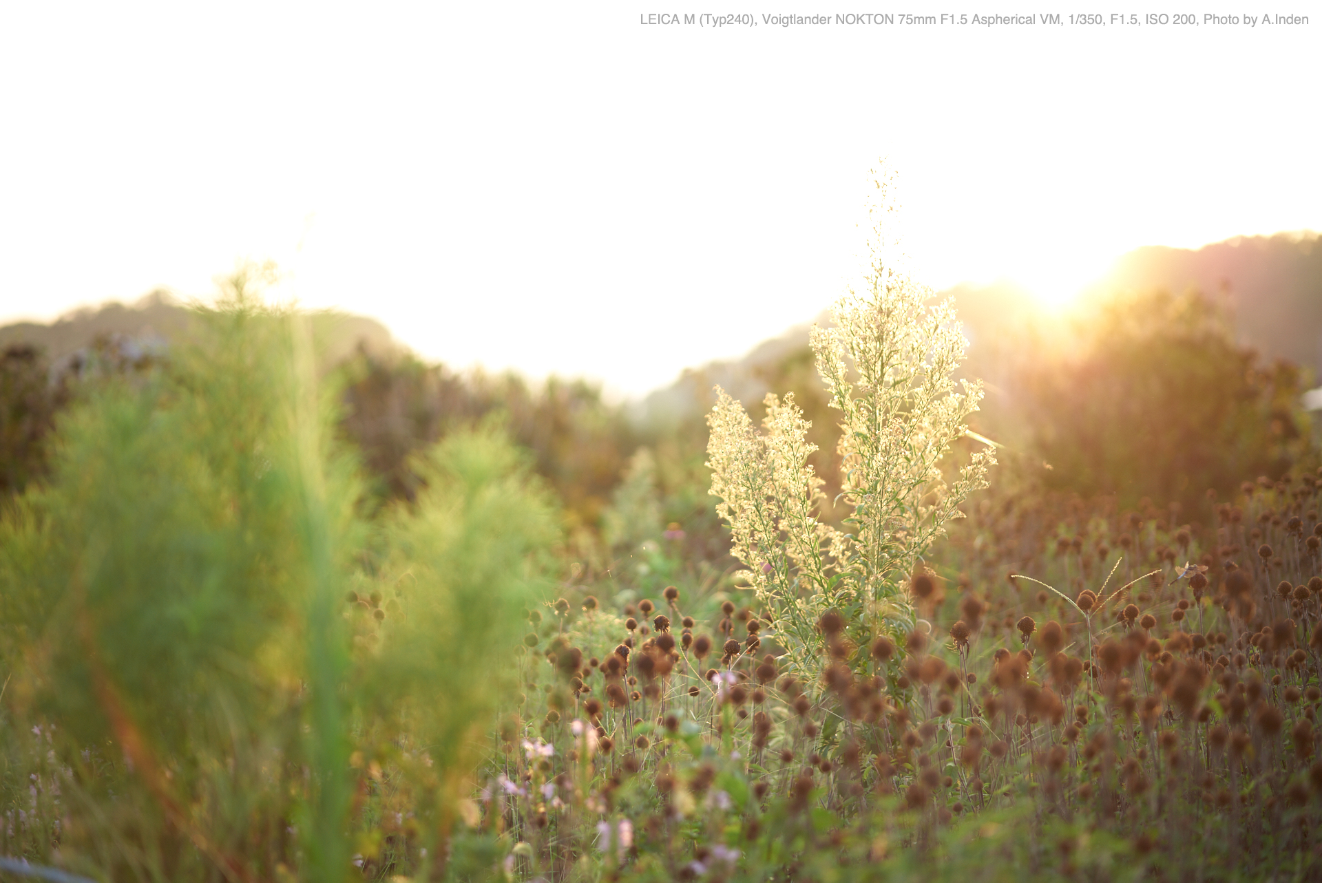 Voigtlander（フォクトレンダー） NOKTON 75mm F1.5 Aspcherical VM