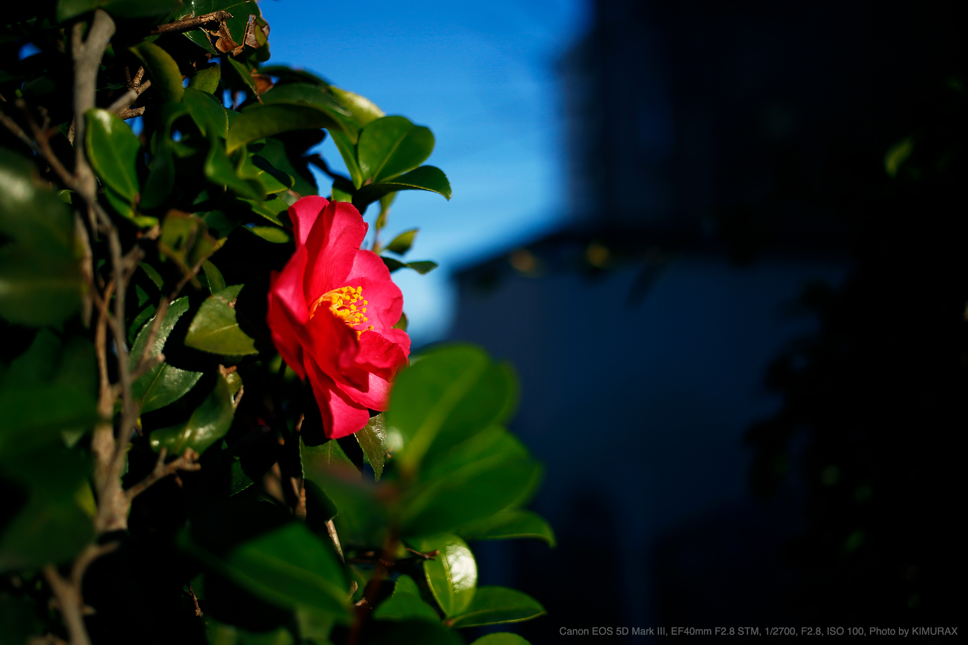 Canon EOS 5D Mark III, EF40mm F2.8 STM, Photo by KIMURAX