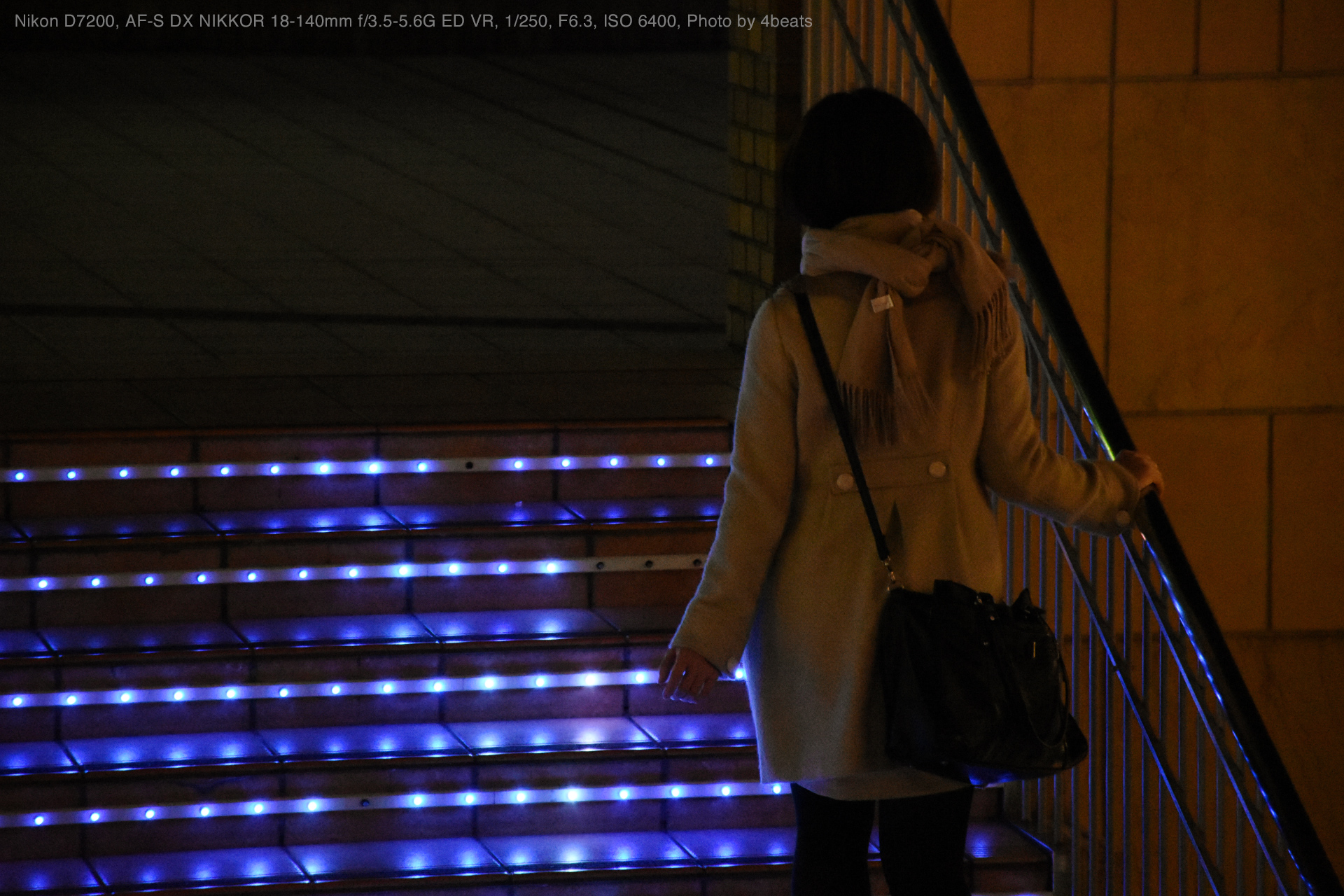 Nikon D7200, AF-S DX NIKKOR 18-140mm f/3.5-5.6G ED VR, 1/250, F6.3, ISO 6400, Photo by 4beats