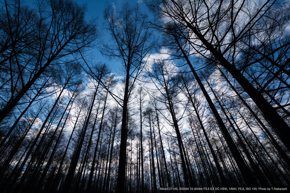 SIGMA 10-20mm F3.5 キャノン用/Nikon AF-S 85mm-