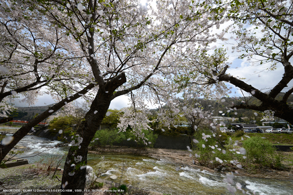 シグマ　SIGMA 12-24mm F4.5-5.6 Ⅱ DC HSM