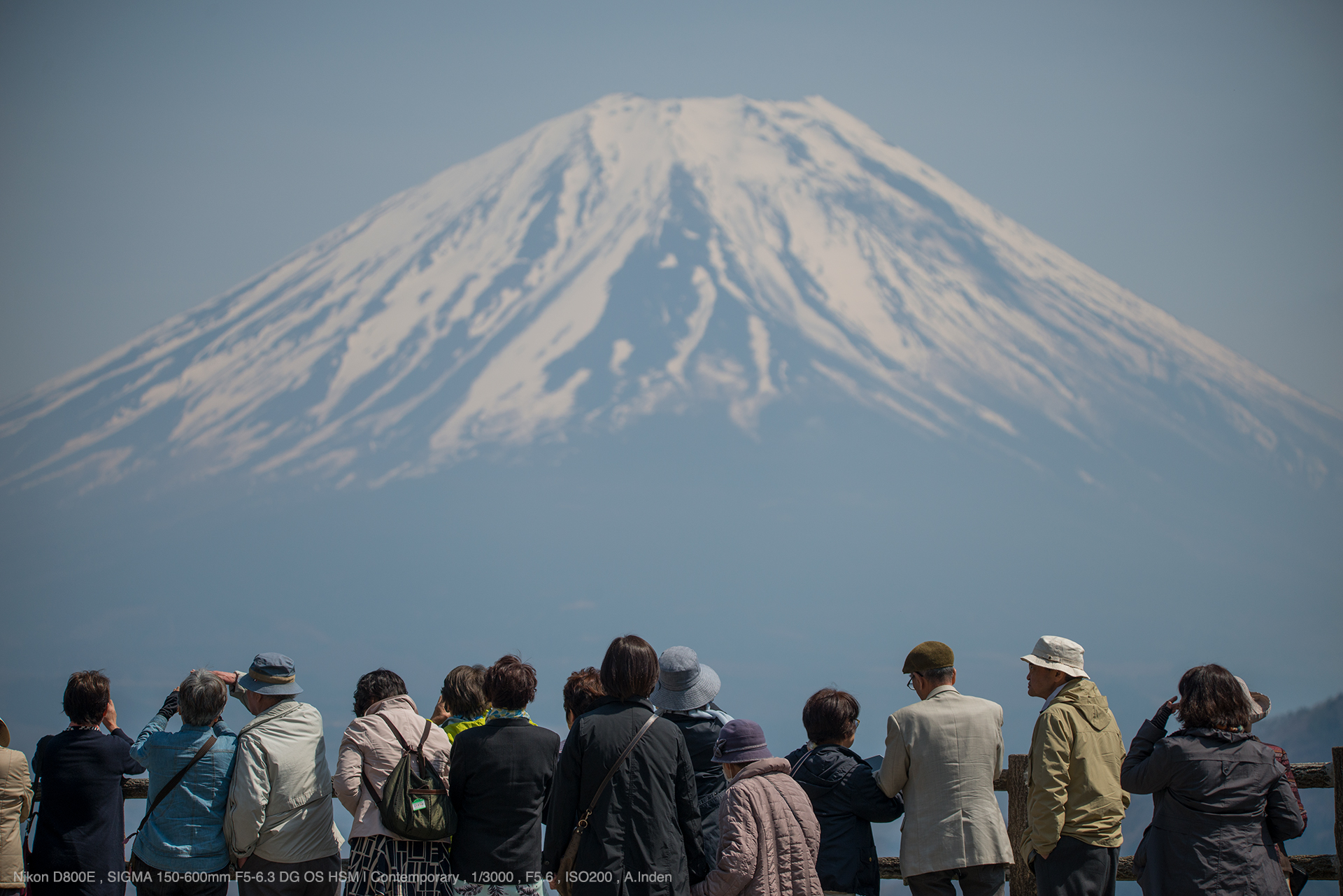 SIGMA（シグマ） 150-600mm F5-6.3 DG OS HSM | Contemporary