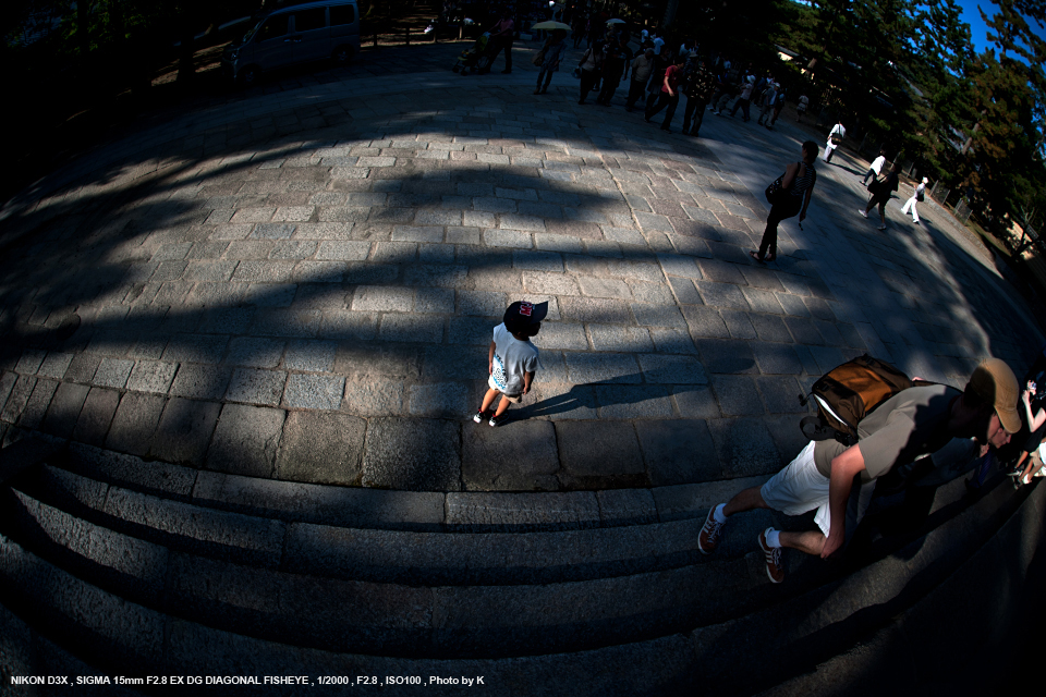 【SIGMA】15mm F2.8 EX DG 魚眼レンズ (Canon)