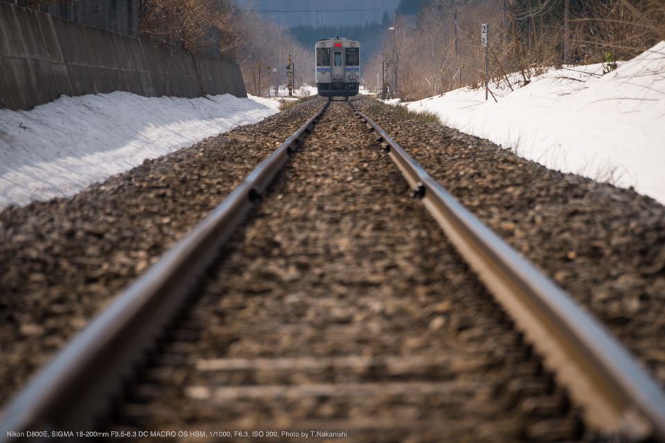 Nikon D800E, SIGMA 18-200mm F3.5-6.3 DC MACRO OS HSM | Contemporary, 1/1000, F6.3, ISO 200, Photo by T.Nakanishi