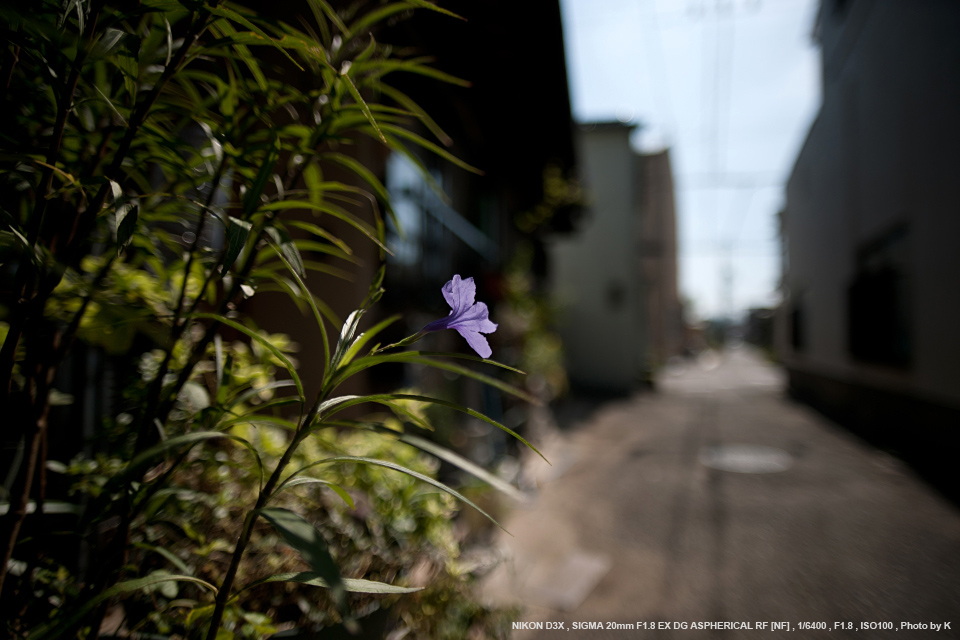 ▼キャノン用 広角　SIGMA 20mm F1.8 EX DG