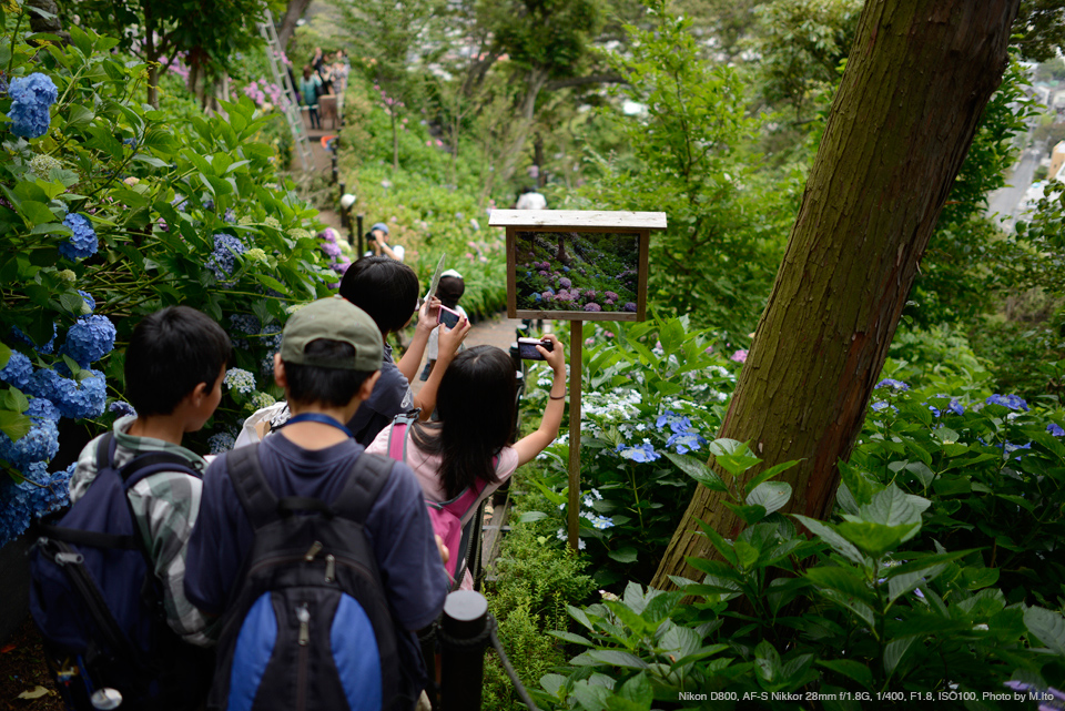 Nikon D800, AF-S Nikkor 28mm f/1.8G, 1/400, F1.8, ISO100, Photo by M.Ito