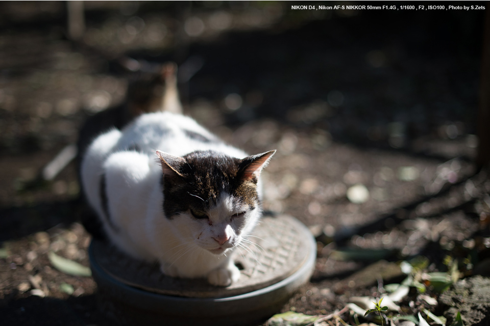 ニコン AF-S NIKKOR 50mm f/1.4G