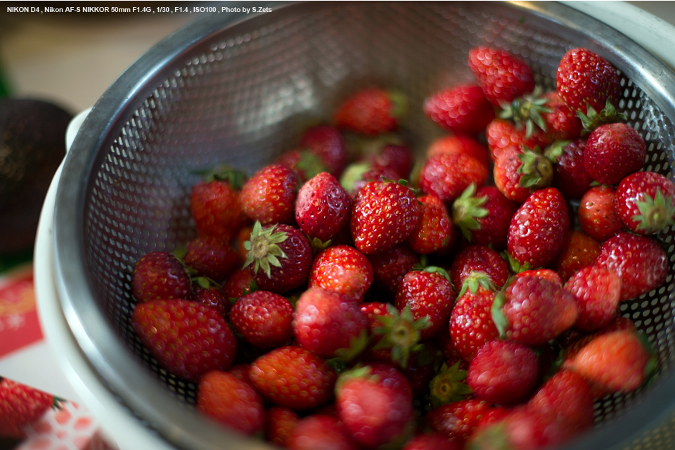 Nikon AF-S NIKKOR 50mm f/1.4G SHOOTING REPORT | PHOTO YODOBASHI