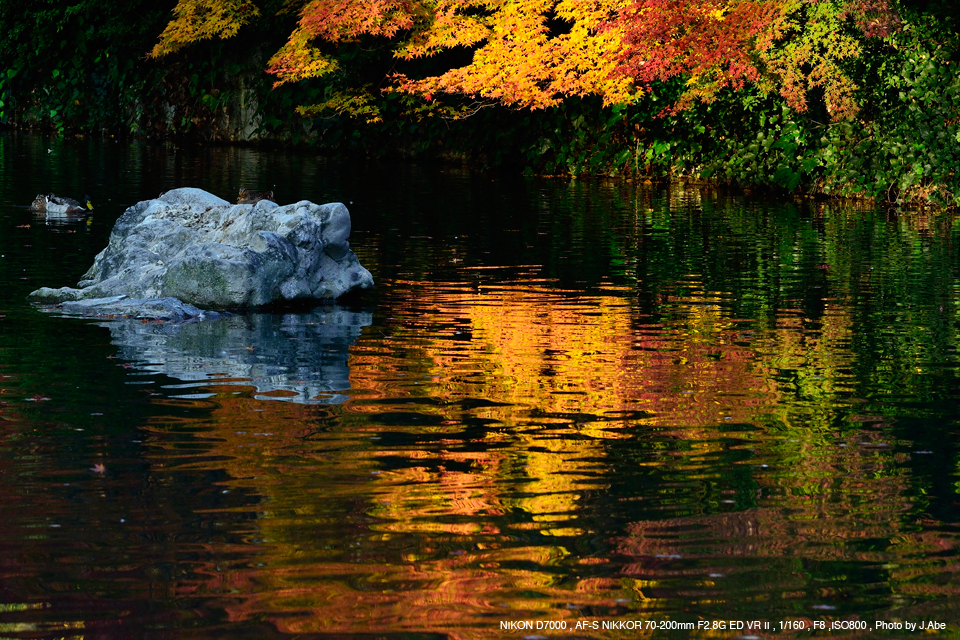 ニコンNikon AF-S Nikkor 70-200mm f/2.8G ED VR…