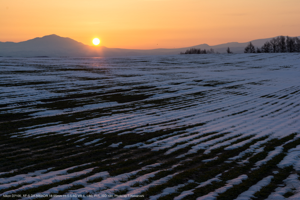 Nikon D7100, AF-S DX NIKKOR 18-55mm f/3.5-5.6G VR II, 1/60, F11, ISO 100, Photo by T.Nakanishi