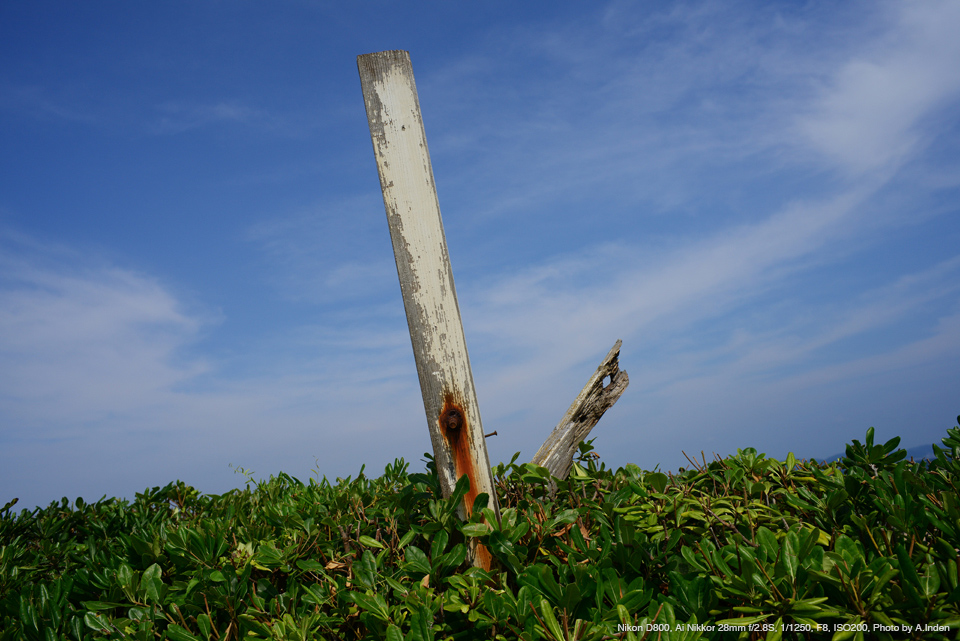 【NIKON】 AI Nikkor 28mm f/2.8