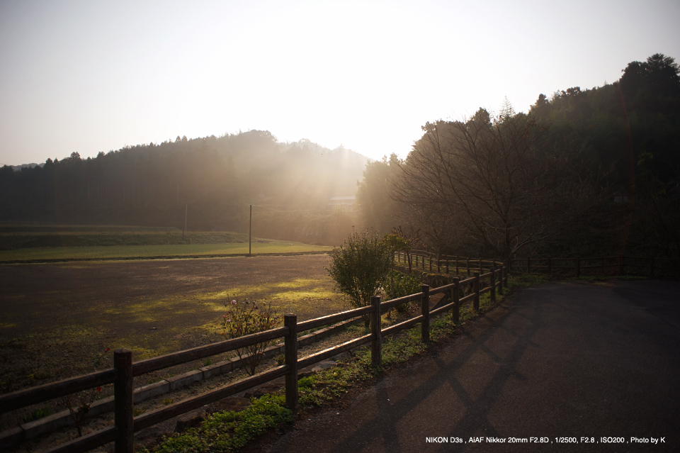 AI AF Nikkor 20mm f/2.8D