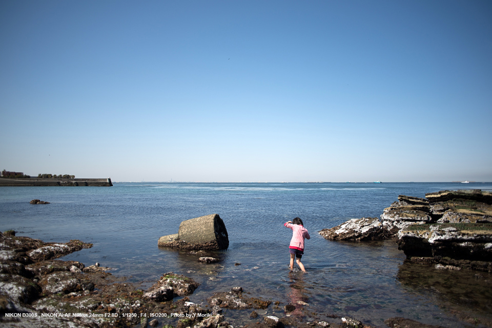 Nikon Ai AF Nikkor 24mm f/2.8D SHOOTING REPORT | PHOTO YODOBASHI