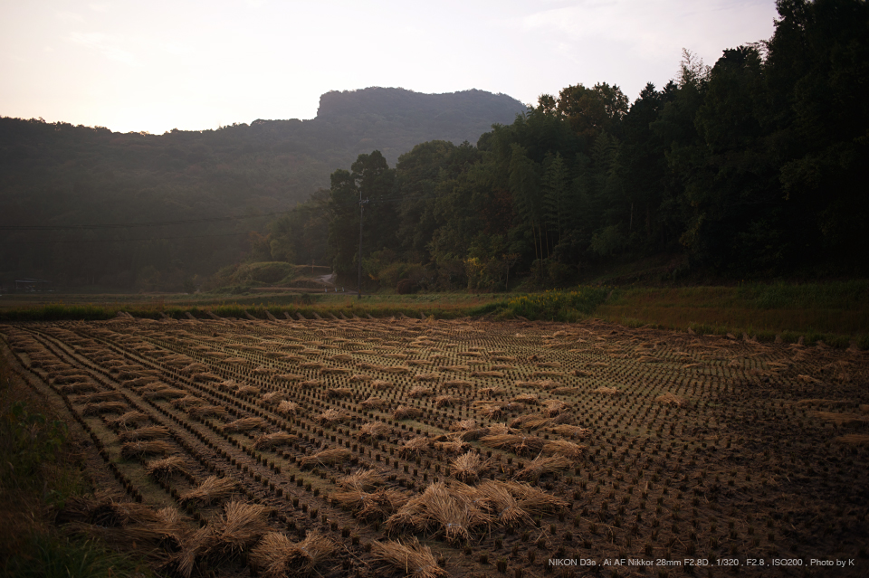 【NIKON】 AI Nikkor 28mm f/2.8