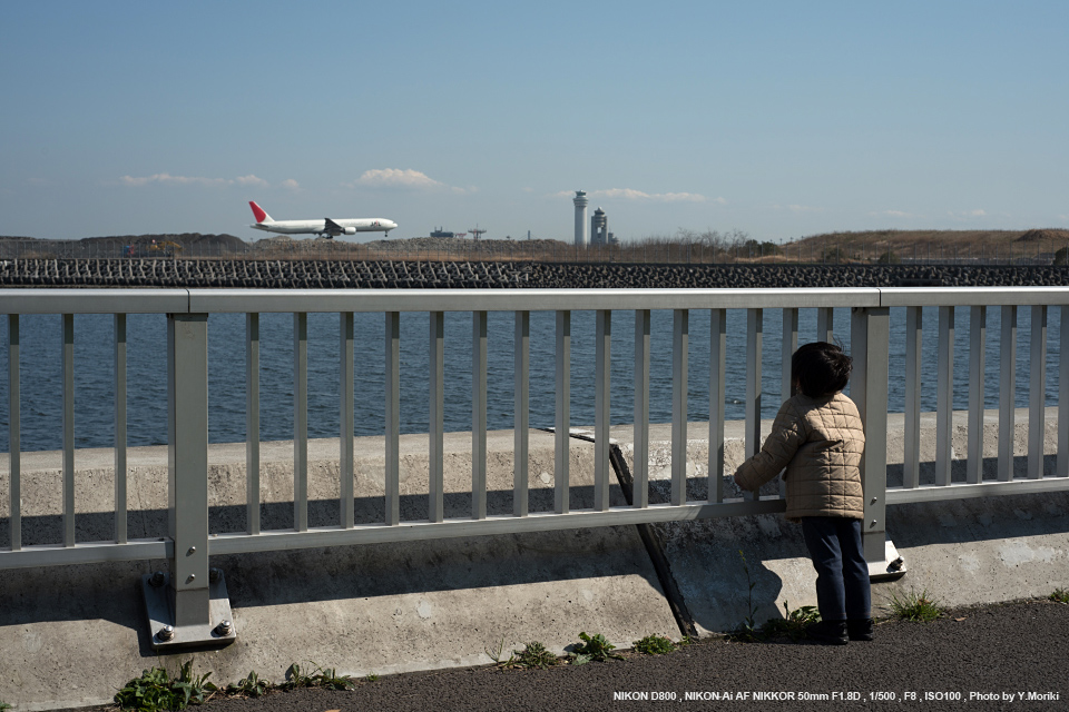 【純正AF】Nikon AF NIKKOR 50mm F1.8D