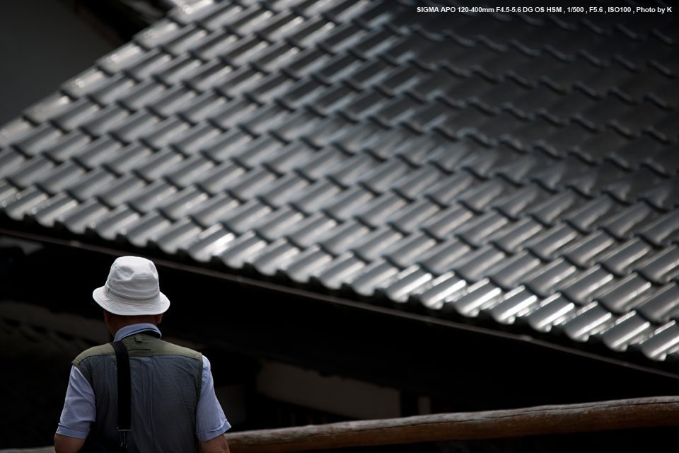 SIGMA（シグマ） APO 120-400mm F4.5-5.6 DG OS HSM 実写レビュー ...