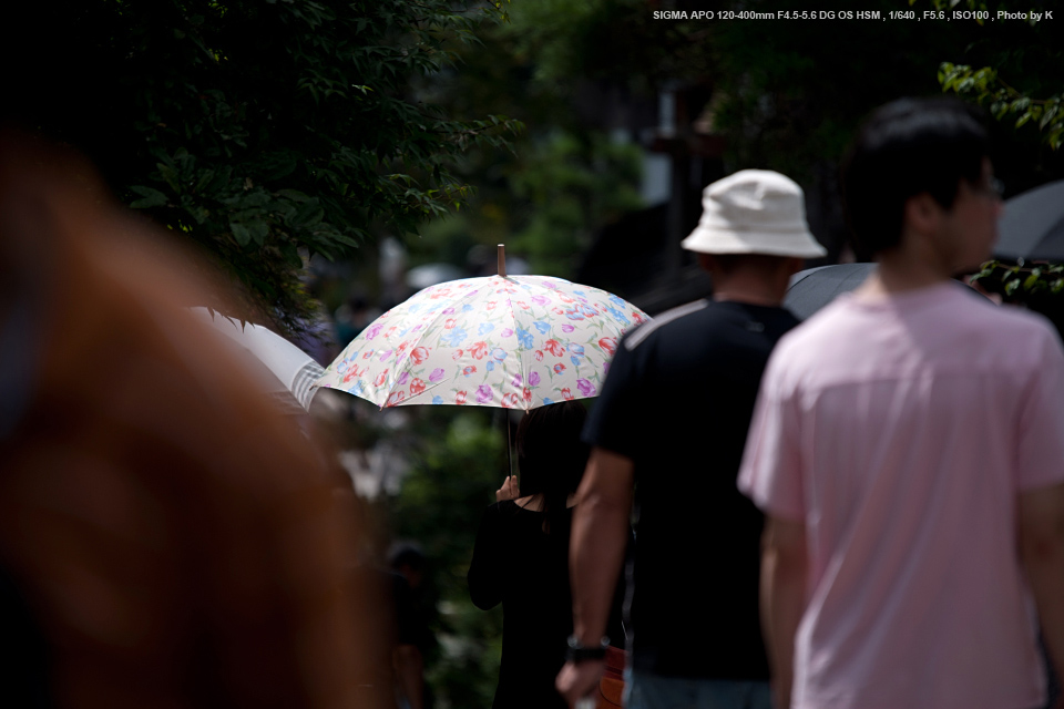 SIGMA（シグマ） APO 120-400mm F4.5-5.6 DG OS HSM 実写レビュー