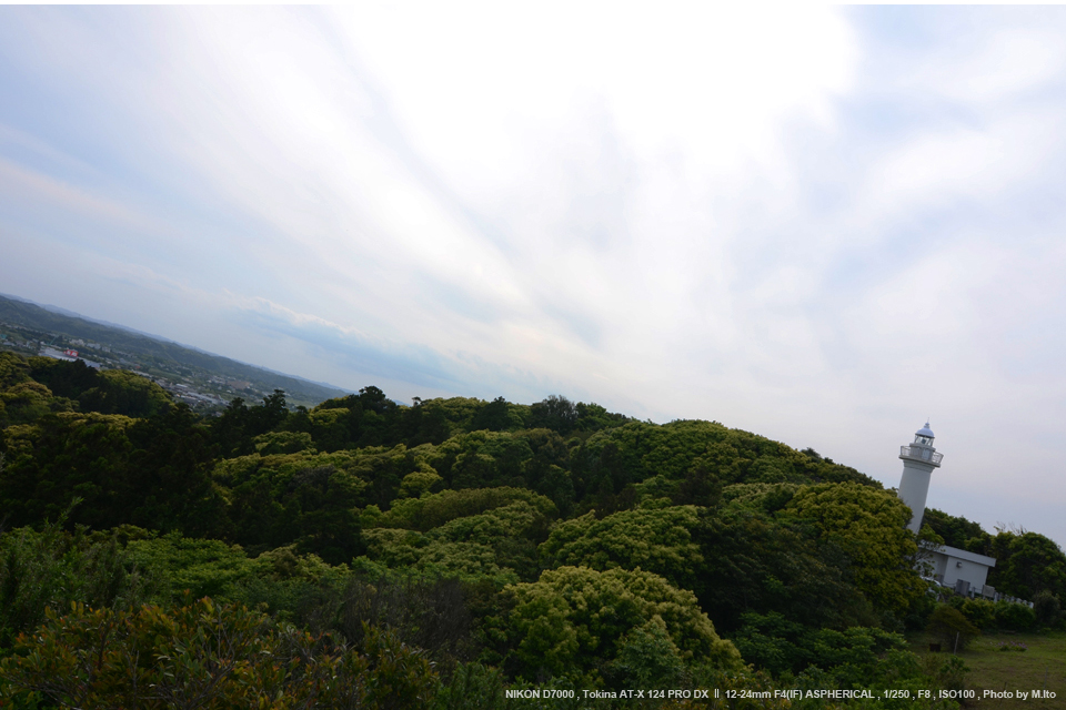 Tokina（トキナー） AT-X 124 PRO DX II 12-24mm F4 (IF) ASPHERICAL