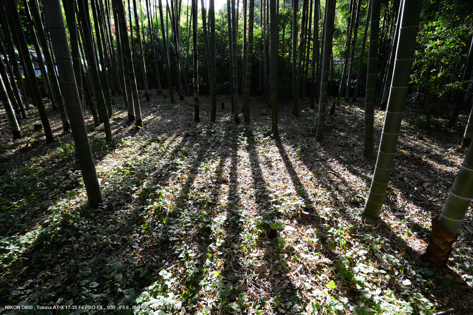 Tokina（トキナー） AT-X 17-35 F4 PRO FX 17-35mm F4 実写レビュー