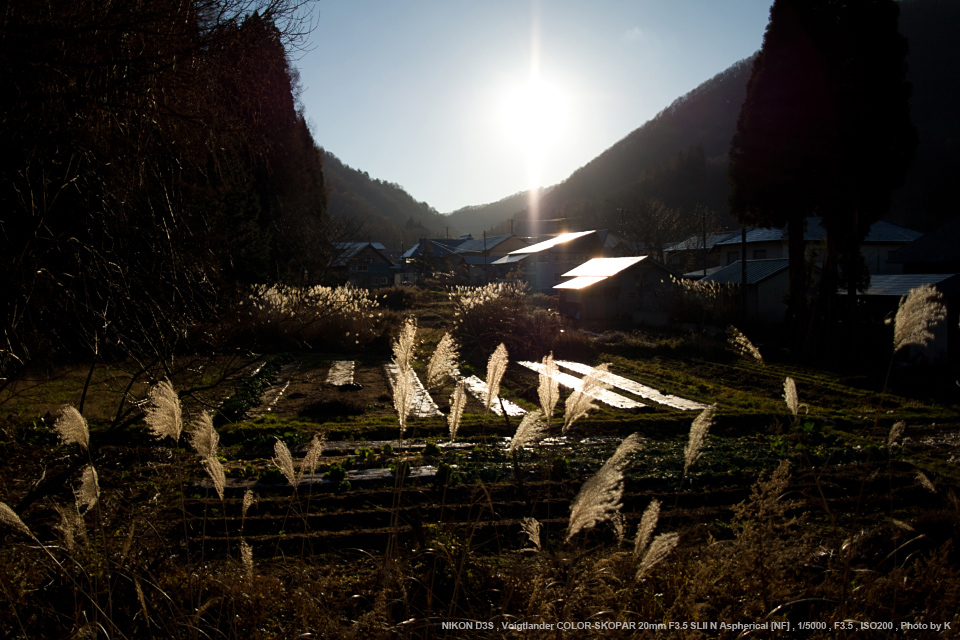 Voigtlander（フォクトレンダー） COLOR-SKOPAR 20mm F3.5 SL II N