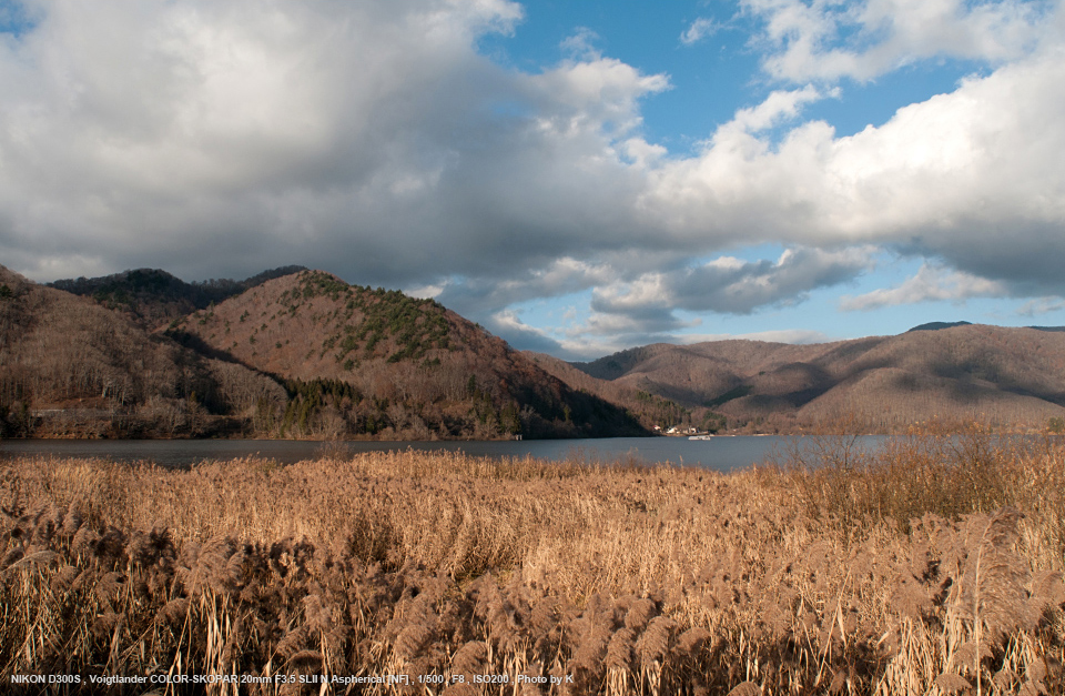 Voigtlander（フォクトレンダー） COLOR-SKOPAR 20mm F3.5 SL II N ...