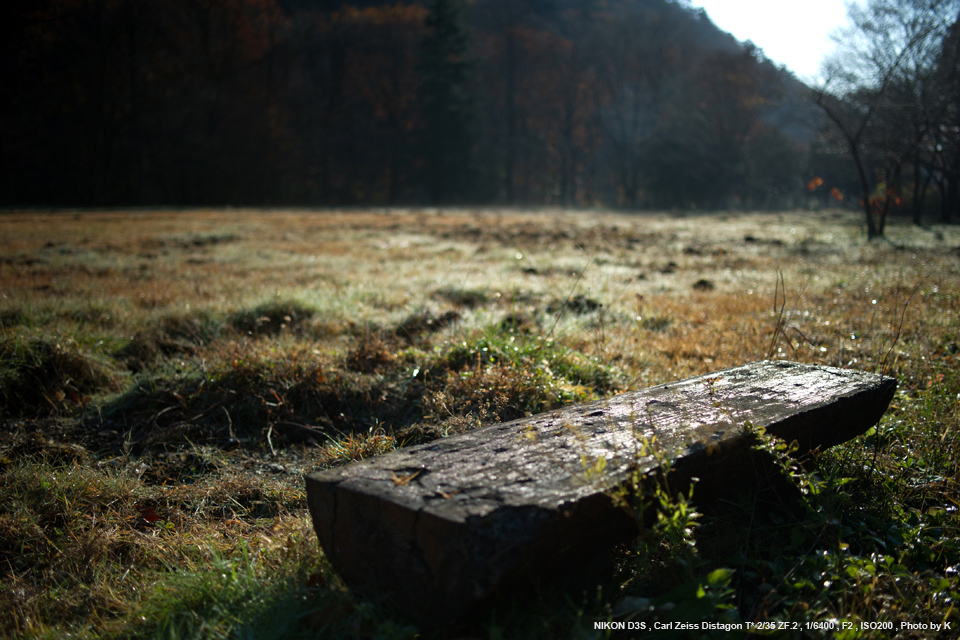 Carl Zeiss（カールツァイス） Distagon T* 2/35 実写レビュー ...