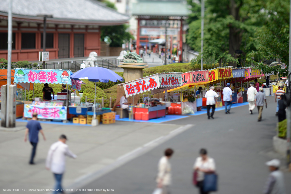 Nikon D800, PC-E Micro Nikkor 85mm f/2.8D, 1/800, F2.8, ISO100, Photo by M.Ito