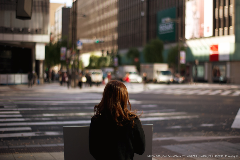 カールツァイス Planar T* 50mm F1.4 ZE（キヤノンEF用） - レンズ(単焦点)