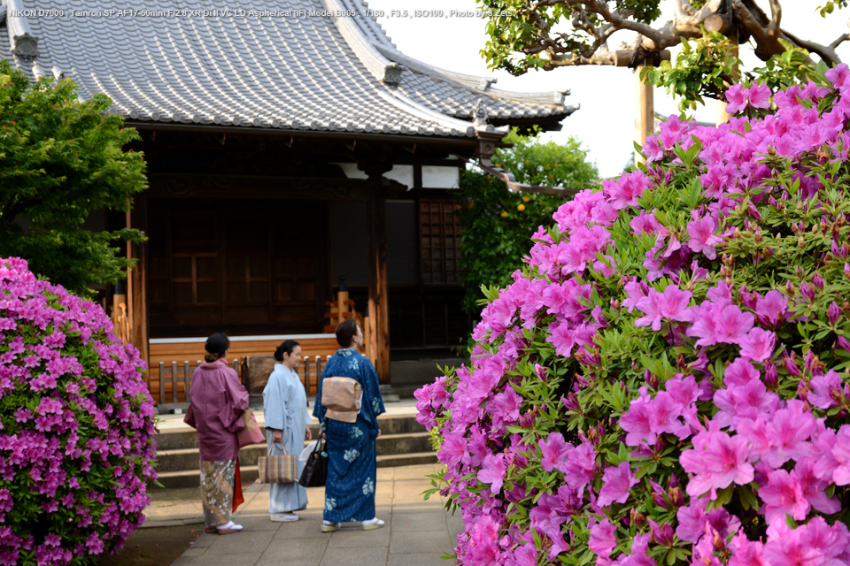 【ペンタックス用】 TAMRON 17-50mm F2.8 XR Di Ⅱ