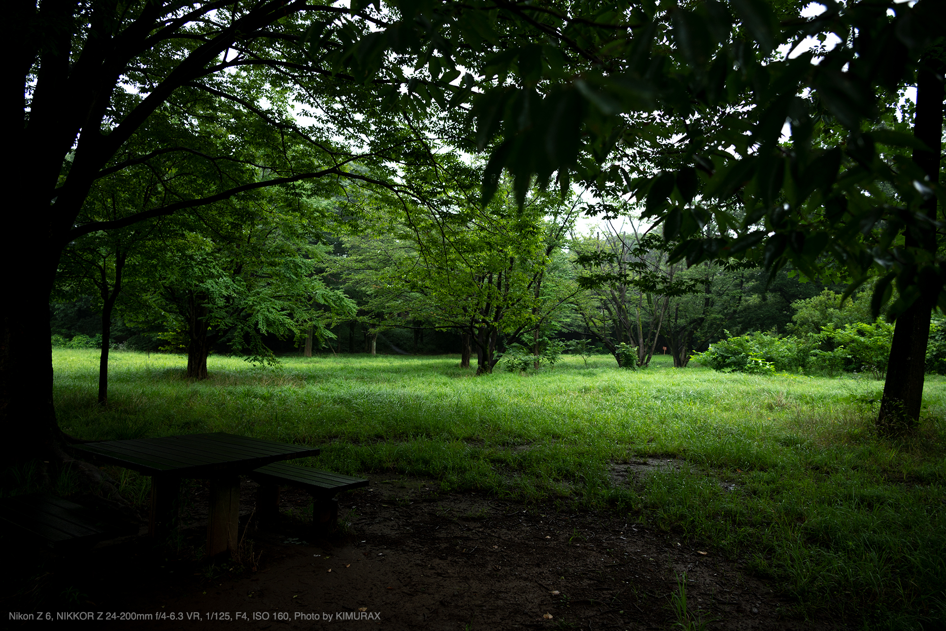 NIKKOR Z24-200mm f/4-6.3VR Zマウントフルサイズ対応