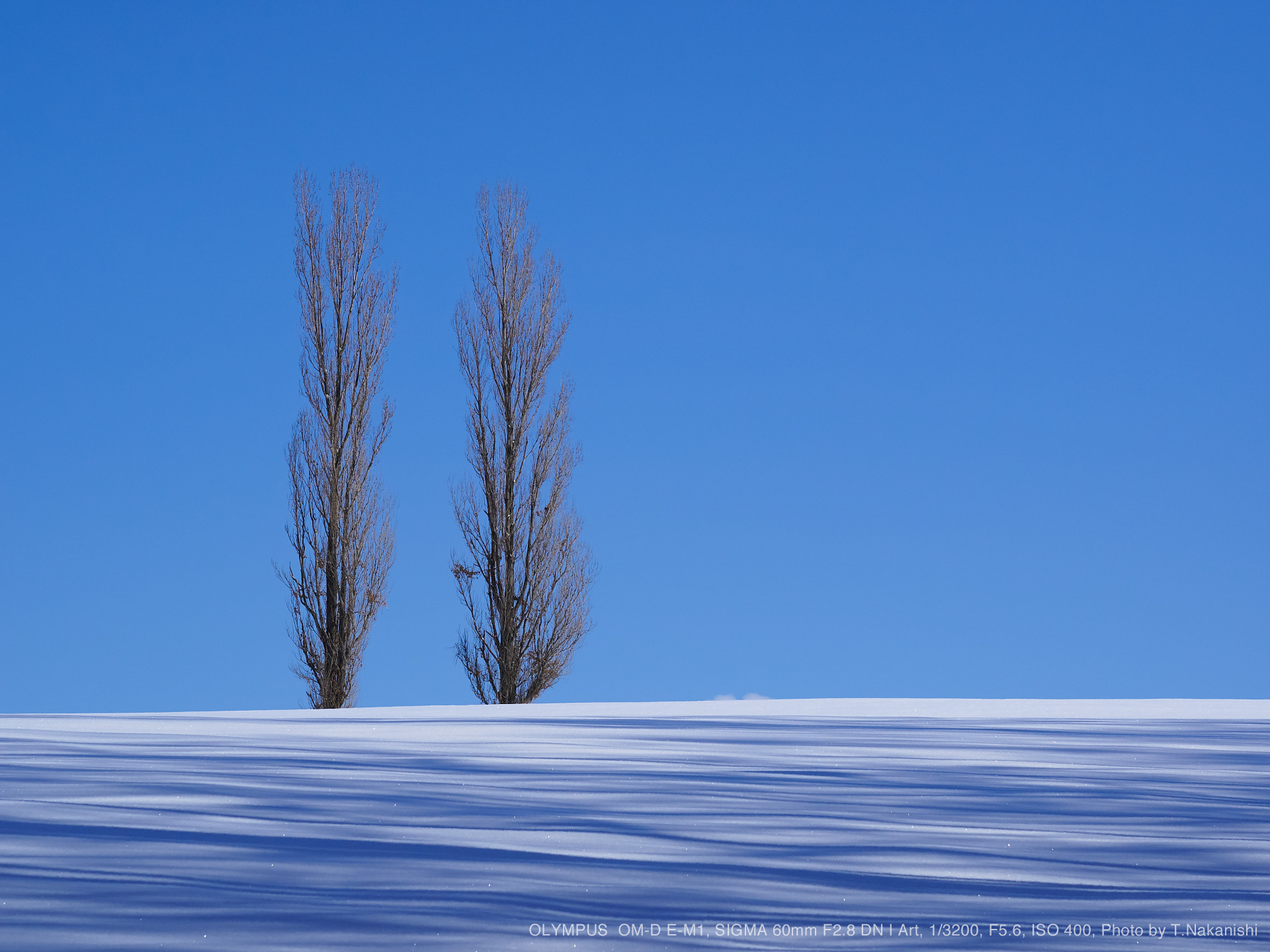 SIGMA DN 60mm f2.8 単焦点レンズ