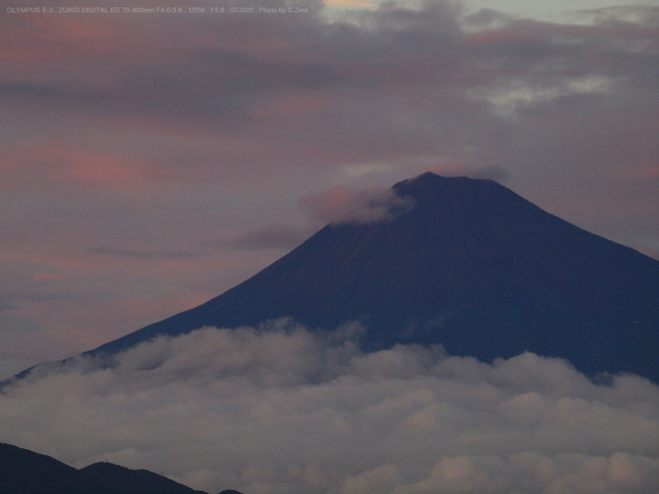 OLYMPUS（オリンパス） ZUIKO DIGITAL ED 70-300mm F4.0-5.6 実写