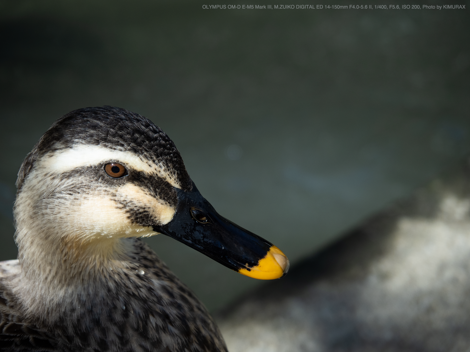 オリンパス　14-150mm f4-5.6 Ⅱ