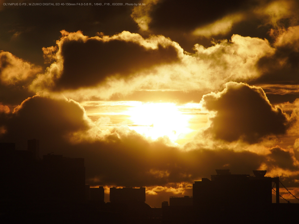 OLYMPUS（オリンパス） M.ZUIKO DIGITAL ED 40-150mm F4.0-5.6 R 実写 ...