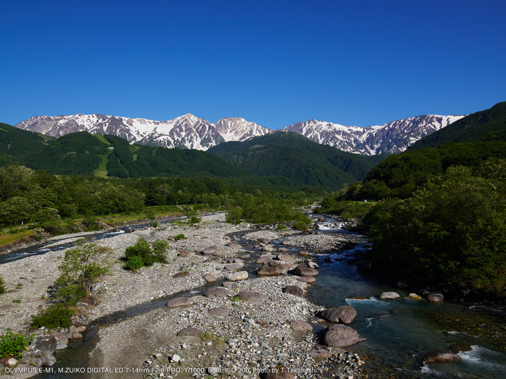 OLYMPUS（オリンパス） M.ZUIKO DIGITAL ED 7-14mm F2.8 PRO 実写