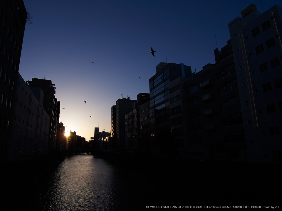 OLYMPUS（オリンパス） M.ZUIKO DIGITAL ED 9-18mm F4.0-5.6 実写 ...