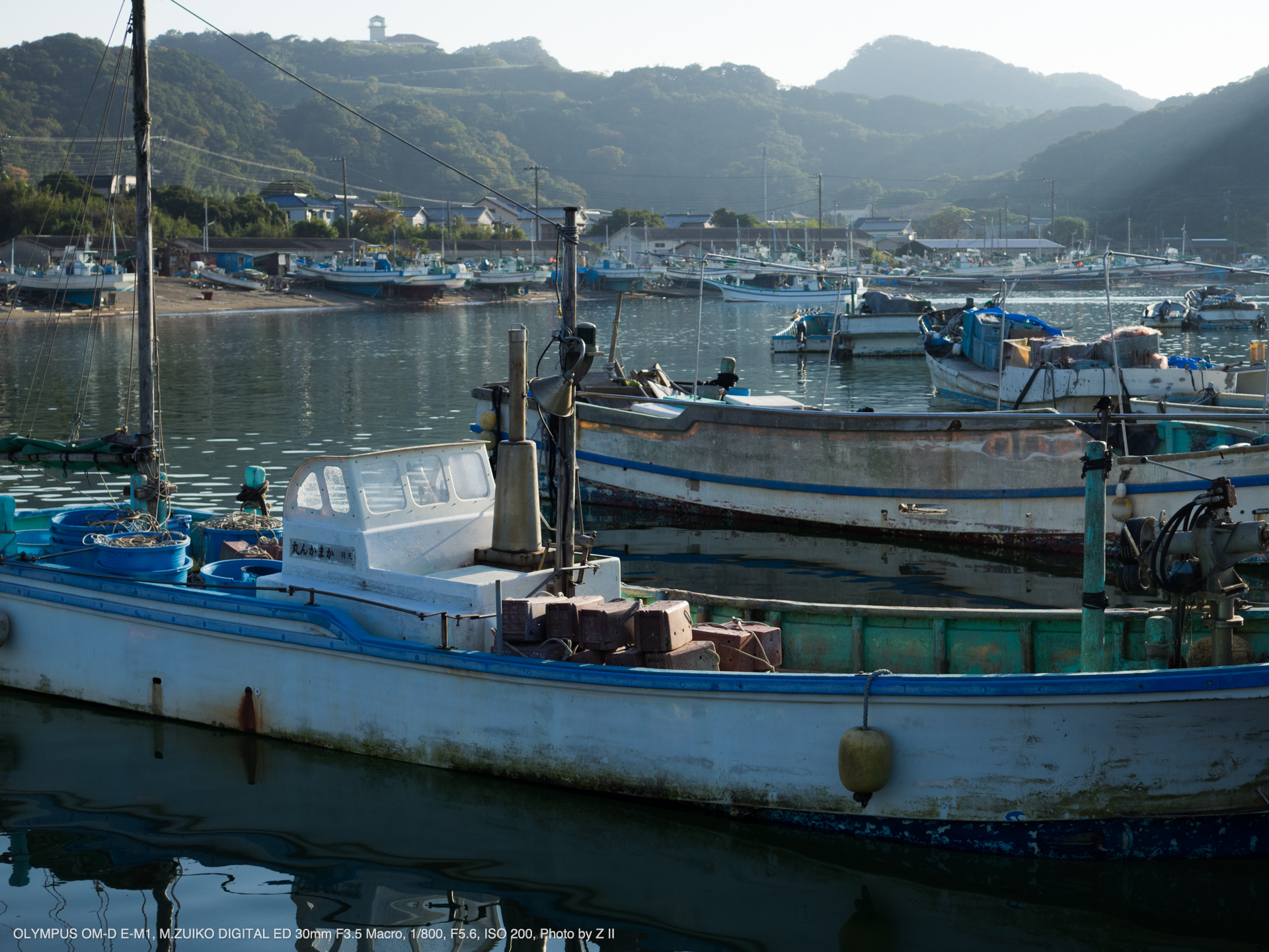 OLYMPUS OM-D E-M1, M.ZUIKO DIGITAL ED 30mm F3.5 Macro, 1/800, F5.6, ISO 200, Photo by Z II