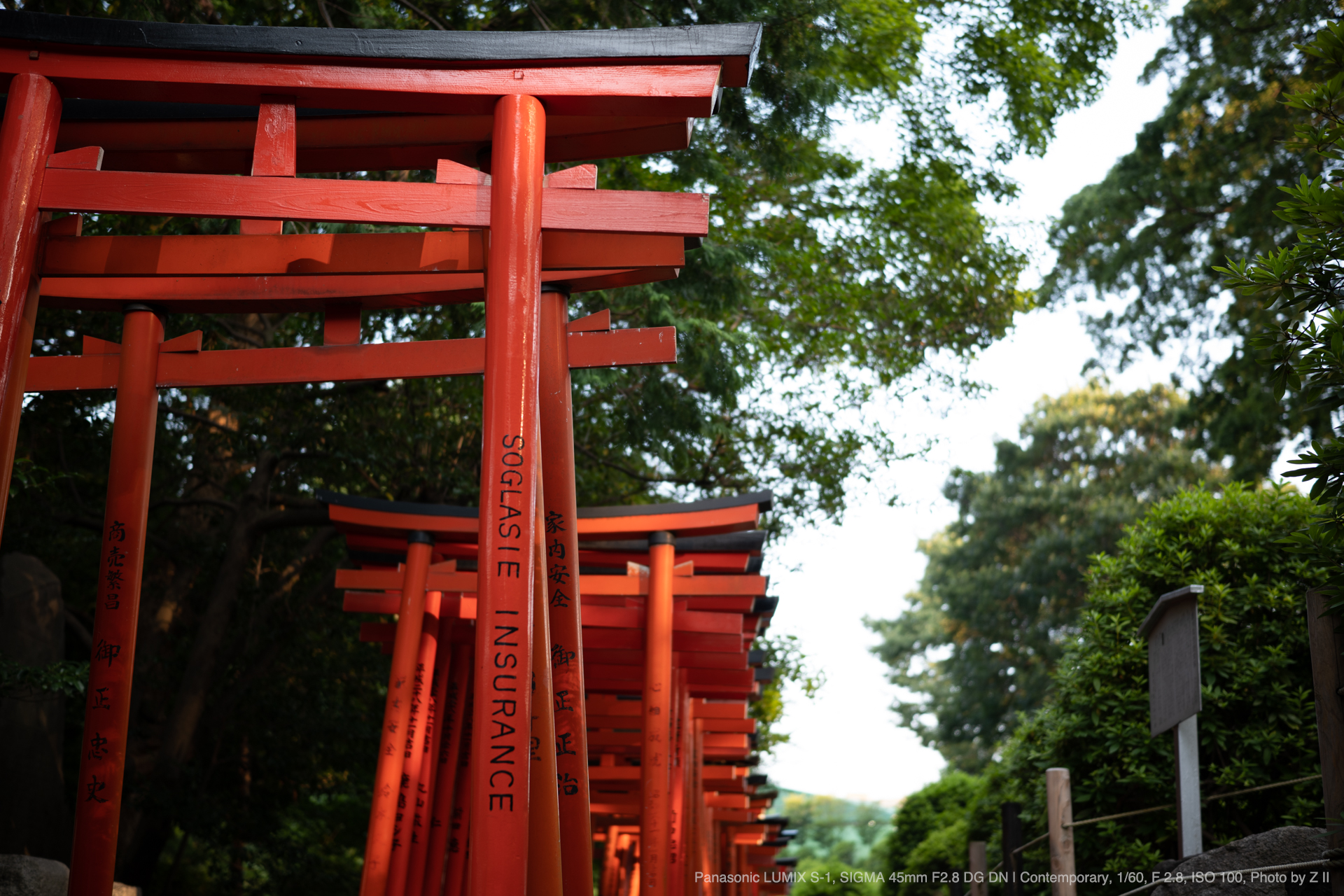 SIGMA（シグマ） 45mm F2.8 DG DN | Contemporary 実写レビュー