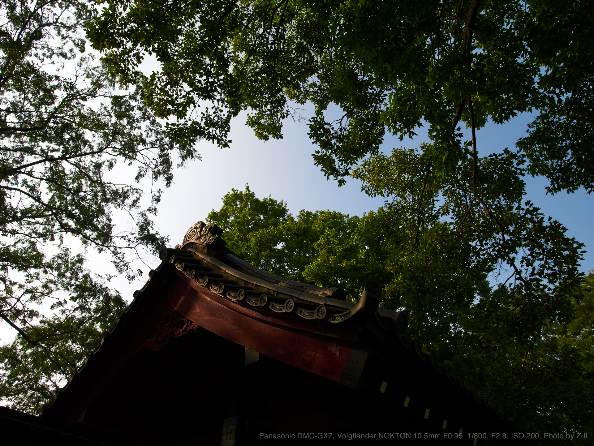 Voigtlander（フォクトレンダー） NOKTON 10.5mm F0.95 実写レビュー