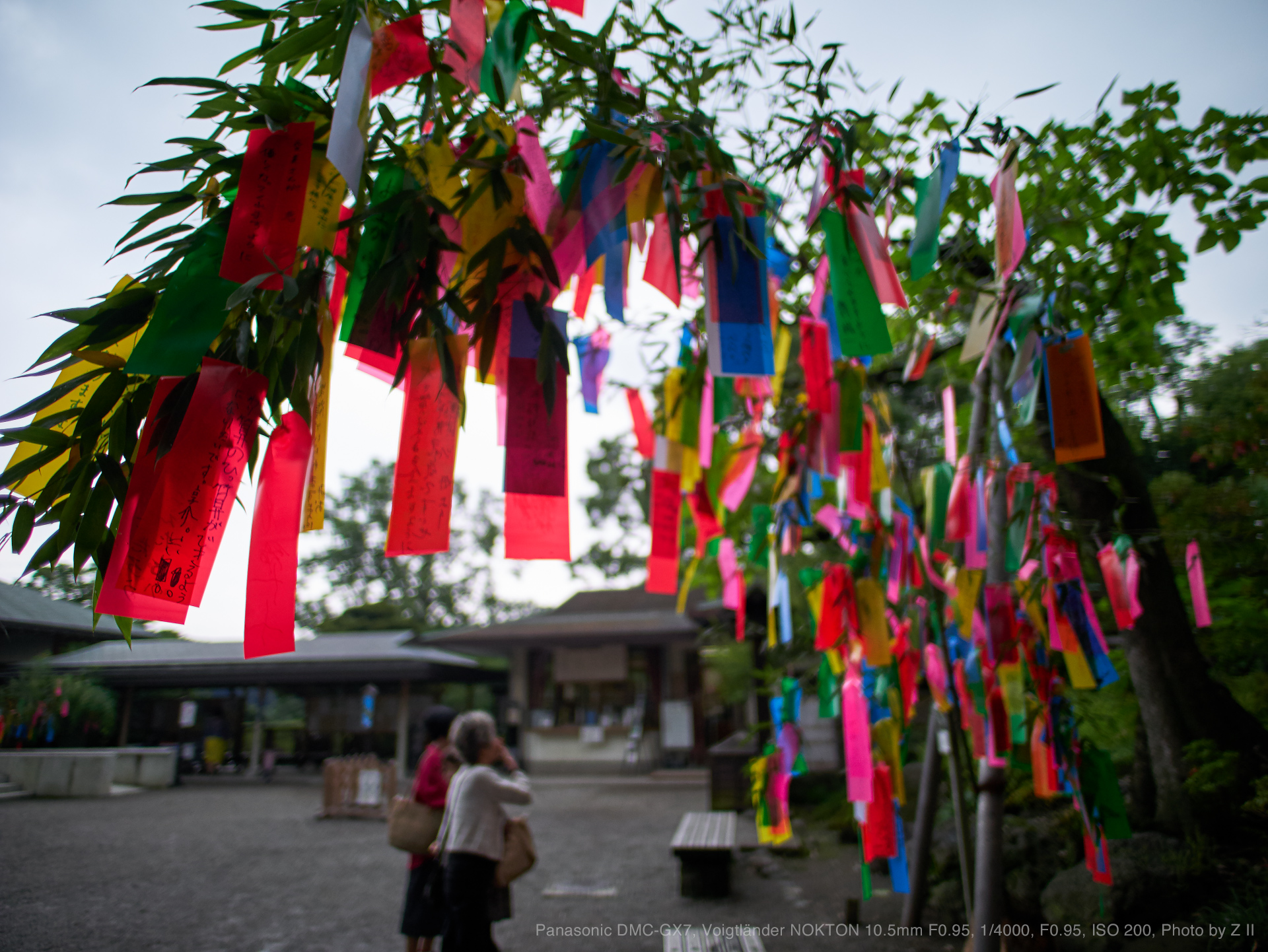 Panasonic DMC-GX7, Voigtländer NOKTON 10.5mm F0.95, 1/4000, F0.95, ISO 200, Photo by Z II