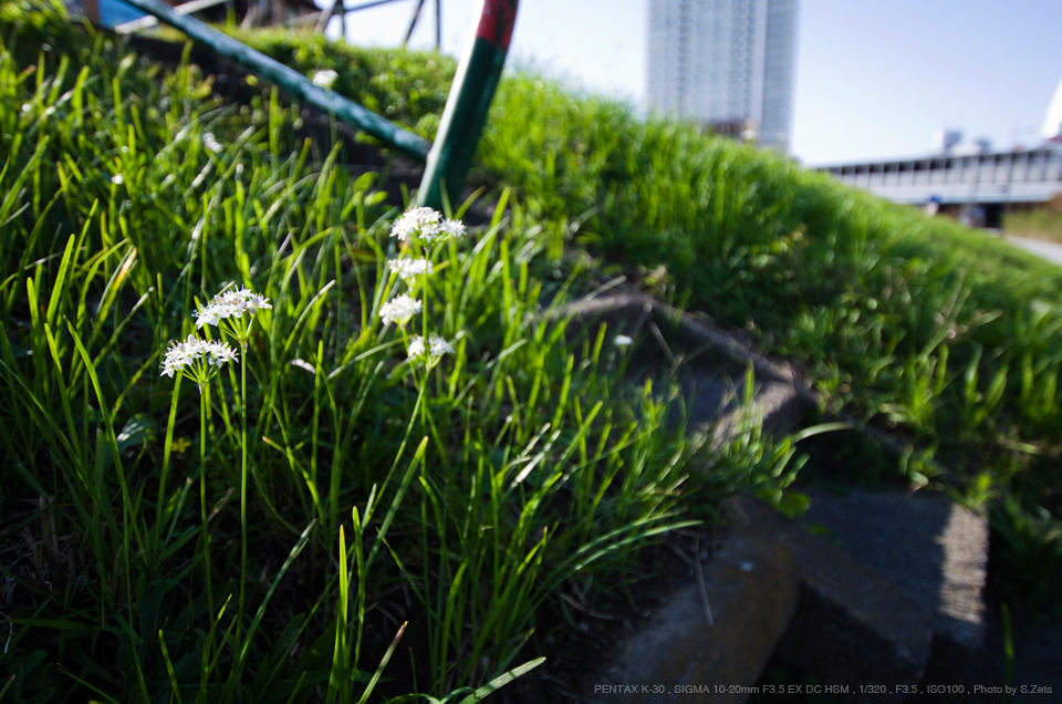 SIGMA10-20mm F3.5 EX DC PENTAX ペンタックス