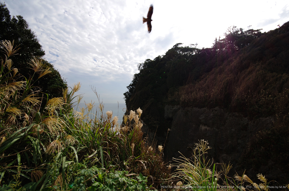 超広角　 SIGMA 10-20mm F4-5.6 DC HSM