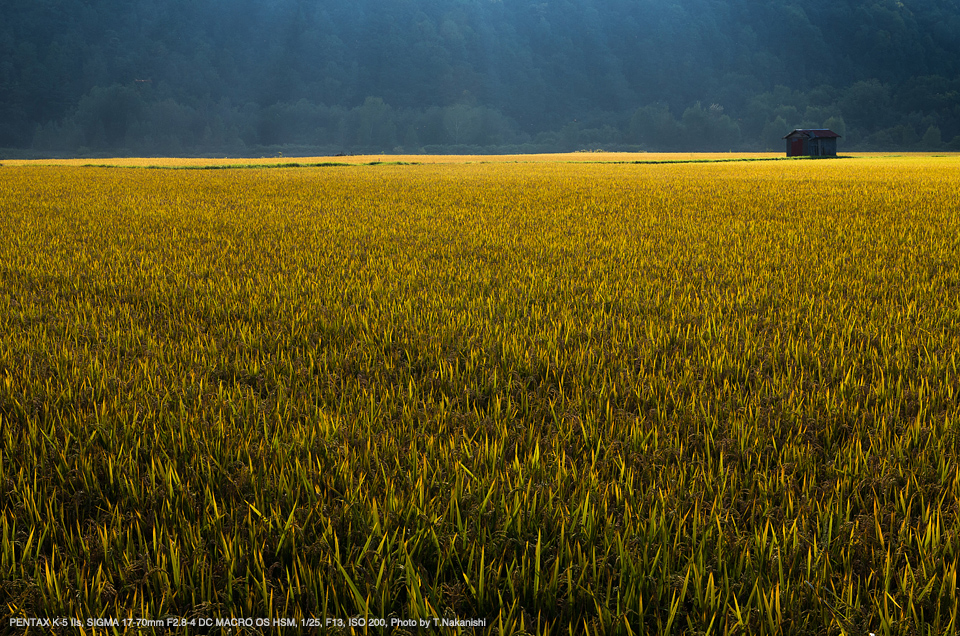 PENTAX K-5 IIs, SIGMA 17-70mm F2.8-4 DC MACRO OS HSM, 1/25, F13, ISO 200, Photo by T.Nakanishi