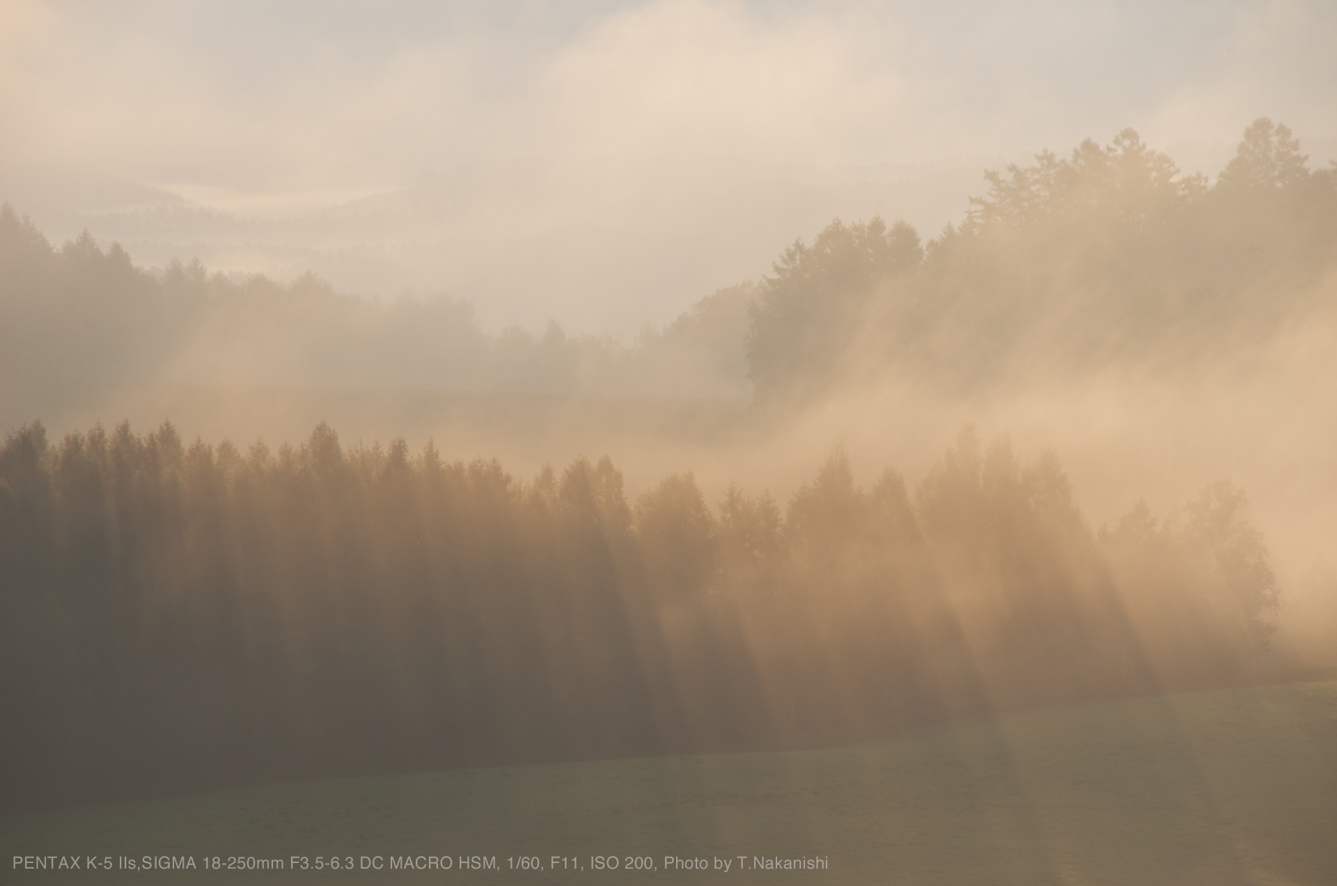 PENTAX K-5 IIs,SIGMA 18-250mm F3.5-6.3 DC MACRO HSM, 1/60, F11, ISO 200, Photo by T.Nakanishi