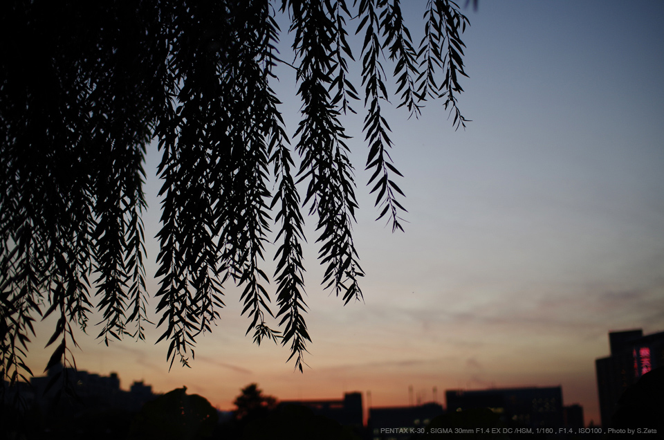 ☆ PENTAX シグマ SIGMA 30mm F1.4 EX DC HSMRuiCamera5157 - www