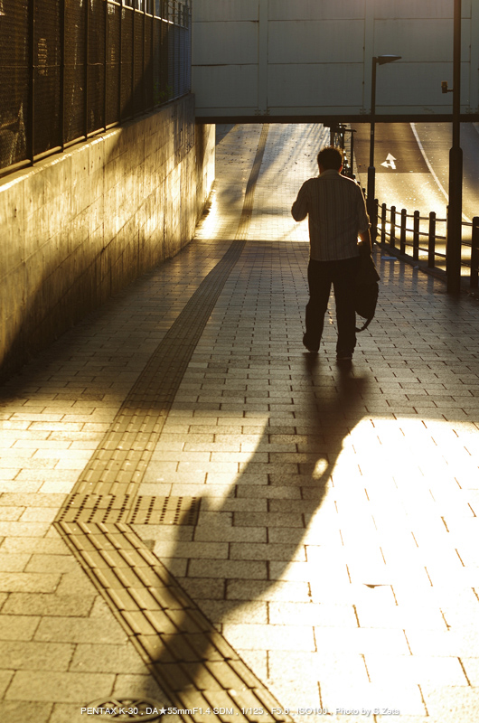 PENTAX（ペンタックス） smc PENTAX-DA☆55mmF1.4 SDM 実写レビュー