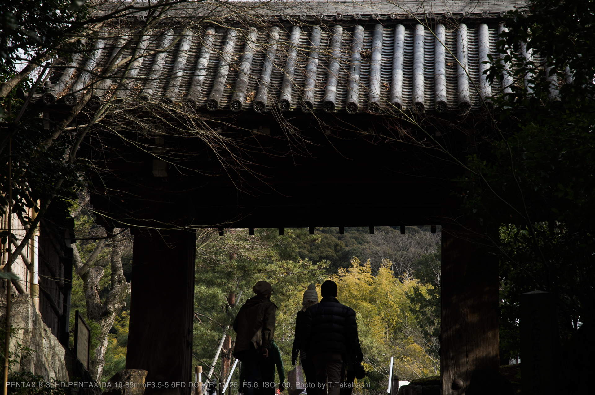 PENTAX K-3, HD PENTAX-DA 16-85mmF3.5-5.6ED DC WR, 1/125, F5.6, ISO 100, Photo by T.Takahashi