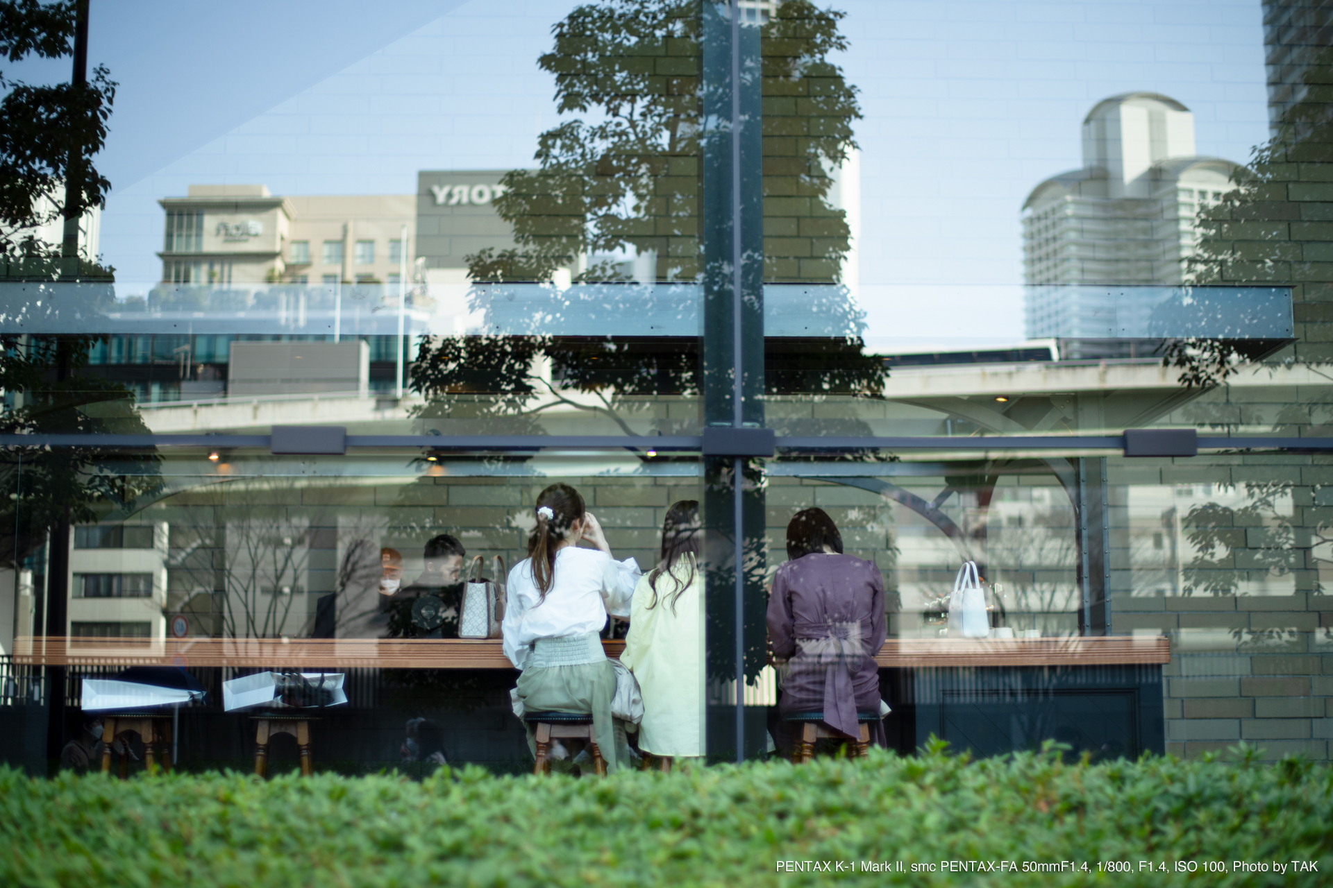 ペンタックス PENTAX AF50mm f1.4 - レンズ(単焦点)